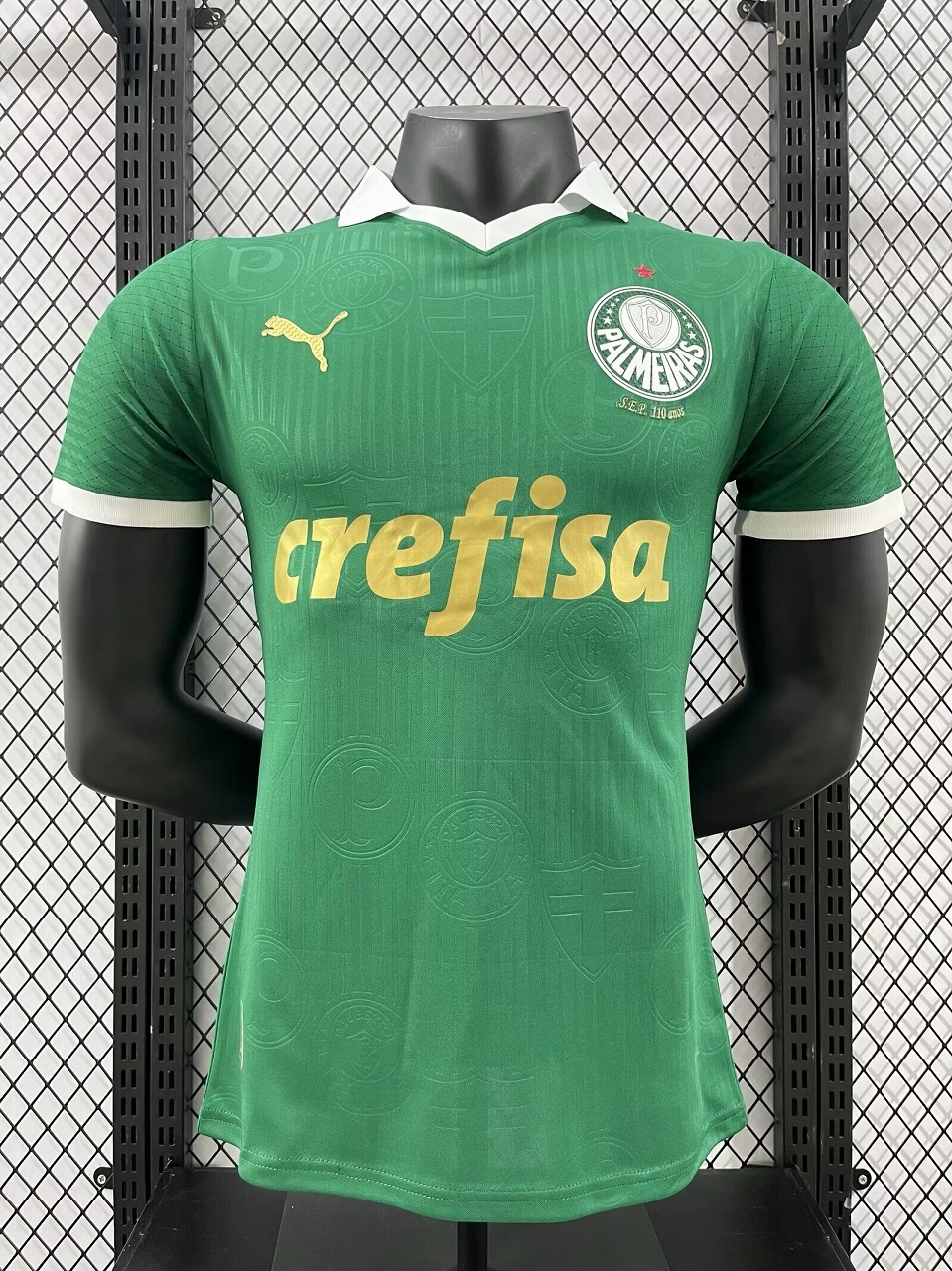 AAA Quality Palmeiras 24/25 Home Soccer Jersey(Player)